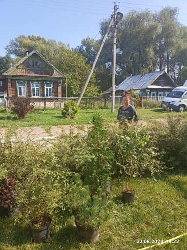 От души благодарим От души благодарим.