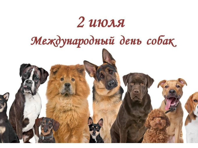 День собак День собак.